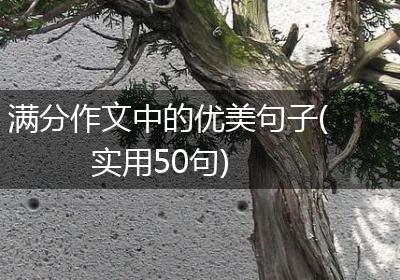 满分作文中的优美句子(实用50句)