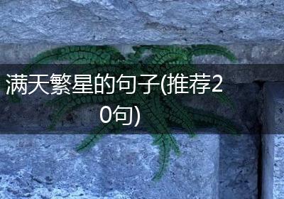 满天繁星的句子(推荐20句)