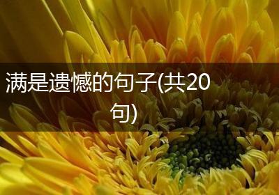 满是遗憾的句子(共20句)
