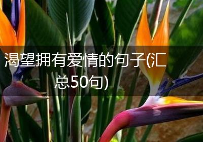 渴望拥有爱情的句子(汇总50句)