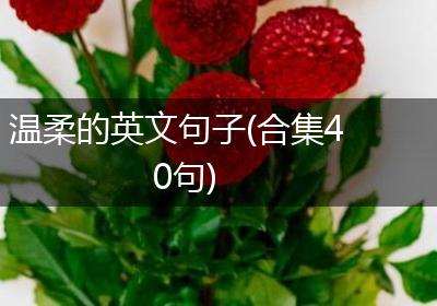温柔的英文句子(合集40句)