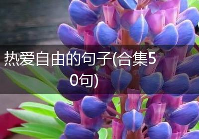 热爱自由的句子(合集50句)