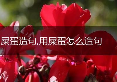 屎蛋造句,用屎蛋怎么造句