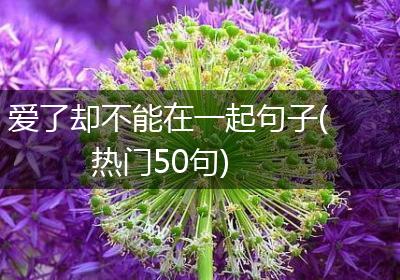 爱了却不能在一起句子(热门50句)