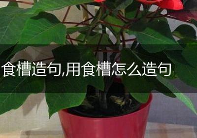 食槽造句,用食槽怎么造句