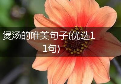 煲汤的唯美句子(优选11句)