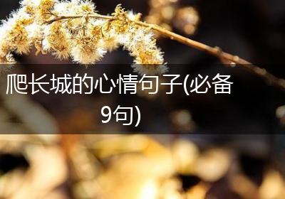 爬长城的心情句子(必备9句)