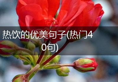 热饮的优美句子(热门40句)