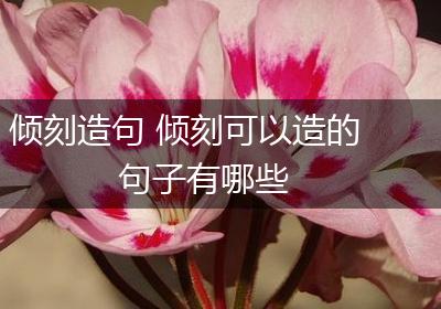倾刻造句 倾刻可以造的句子有哪些