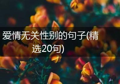 爱情无关性别的句子(精选20句)