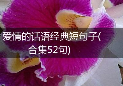 爱情的话语经典短句子(合集52句)