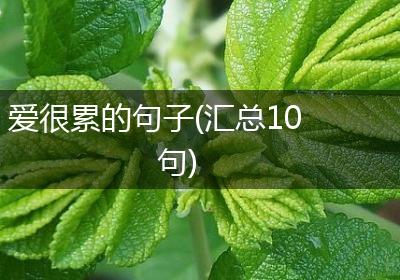 爱很累的句子(汇总10句)