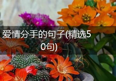 爱情分手的句子(精选50句)