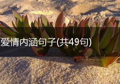 爱情内涵句子(共49句)