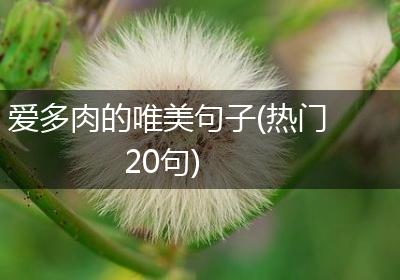 爱多肉的唯美句子(热门20句)