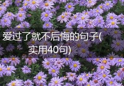 爱过了就不后悔的句子(实用40句)