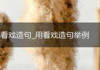 看戏造句_用看戏造句举例