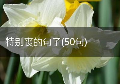 特别丧的句子(50句)