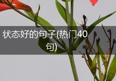 状态好的句子(热门40句)