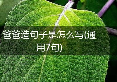 爸爸造句子是怎么写(通用7句)