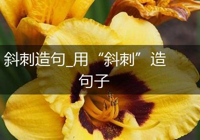 斜刺造句_用“斜刺”造句子