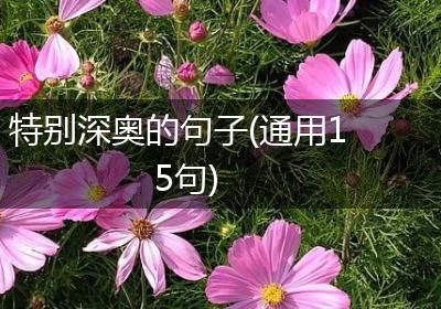 特别深奥的句子(通用15句)
