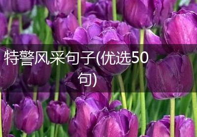 特警风采句子(优选50句)