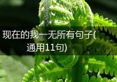 现在的我一无所有句子(通用11句)