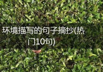 环境描写的句子摘抄(热门10句)