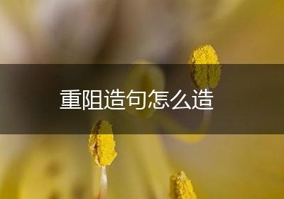 重阻造句怎么造