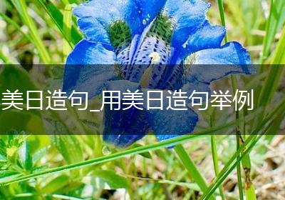 美日造句_用美日造句举例