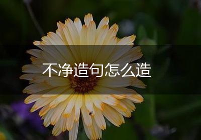 不净造句怎么造
