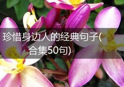 珍惜身边人的经典句子(合集50句)