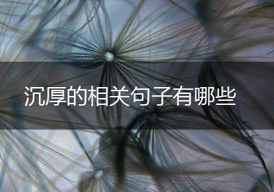 沉厚的相关句子有哪些