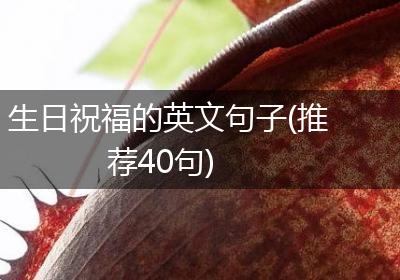 生日祝福的英文句子(推荐40句)