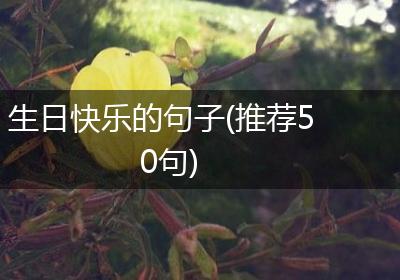 生日快乐的句子(推荐50句)