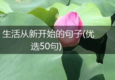 生活从新开始的句子(优选50句)