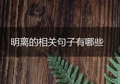 明离的相关句子有哪些