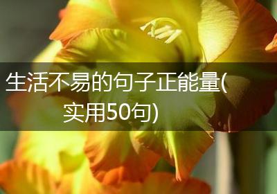 生活不易的句子正能量(实用50句)