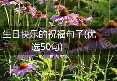生日快乐的祝福句子(优选50句)