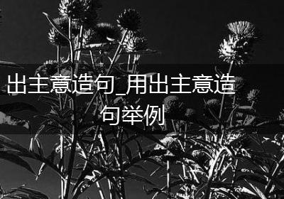 出主意造句_用出主意造句举例