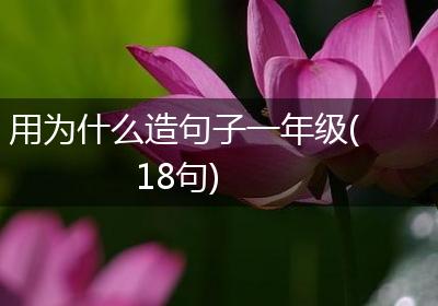 用为什么造句子一年级(18句)