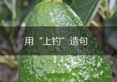 用“上钓”造句