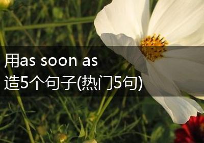 用as soon as造5个句子(热门5句)