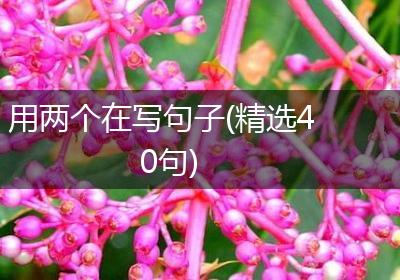 用两个在写句子(精选40句)