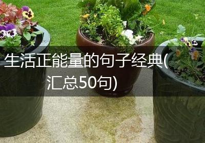 生活正能量的句子经典(汇总50句)