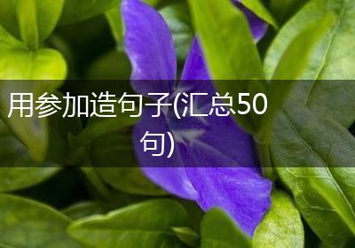 用参加造句子(汇总50句)