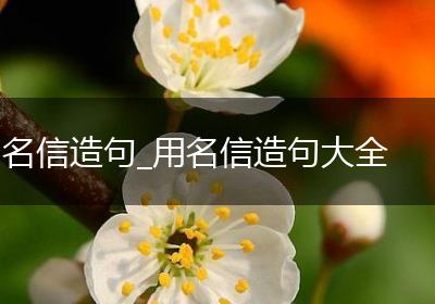 名信造句_用名信造句大全