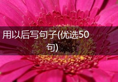 用以后写句子(优选50句)