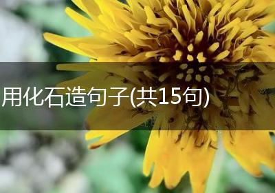 用化石造句子(共15句)